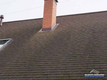 Roof Stains: What They Are and How to Get Rid of Them